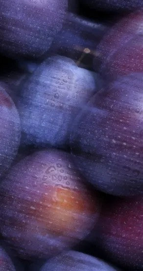 Hand Cream - Sweet Surrender, 75g