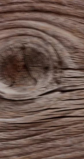 Perfume Oil - Ego Rex, 10ml