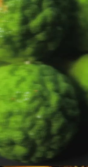 Perfume Oil - Nights In Morocco, 10ml