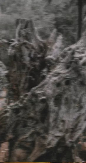 Perfume Oil - Temple Of Sensus, 10ml