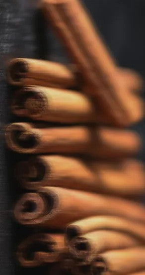 Perfume Oil - Temple Of Sensus, 10ml