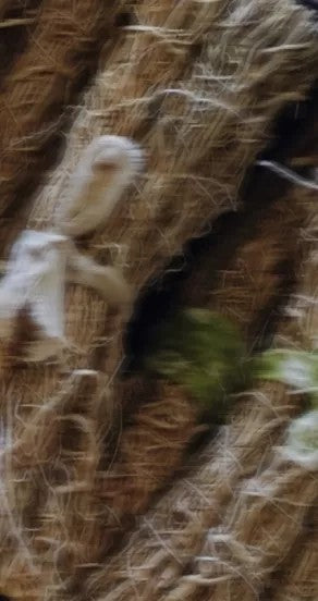 Spray Perfume - Nights in Morocco, 15ml, 50ml